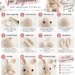 Numbered step-by-step panels showing how to crochet an amigurumi bunny, from the head shaping through the ears to the assembled bunny