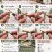 How to Crochet a Single Crochet Stitch (US): Complete Beginner’s Guide