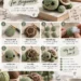 Numbered step-by-step panels showing how to crochet an amigurumi turtle, from the shell circle through the legs to the assembled turtle